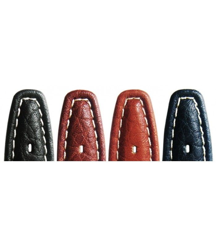 Correa de piel para repuesto reloj Swatch, Diloy Iron3