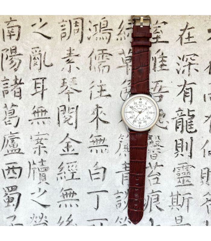 Correas de Reloj Diloy de Piel Grabado Cocodrilo 14mm 16mm 18mm 20mm 22mm 24mm. Ref 361